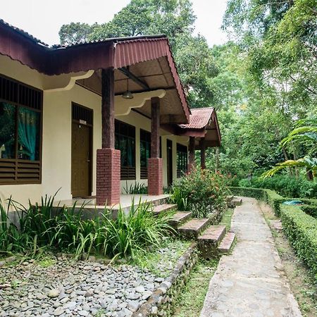 Ecolodge Bukit Lawang Eksteriør bilde