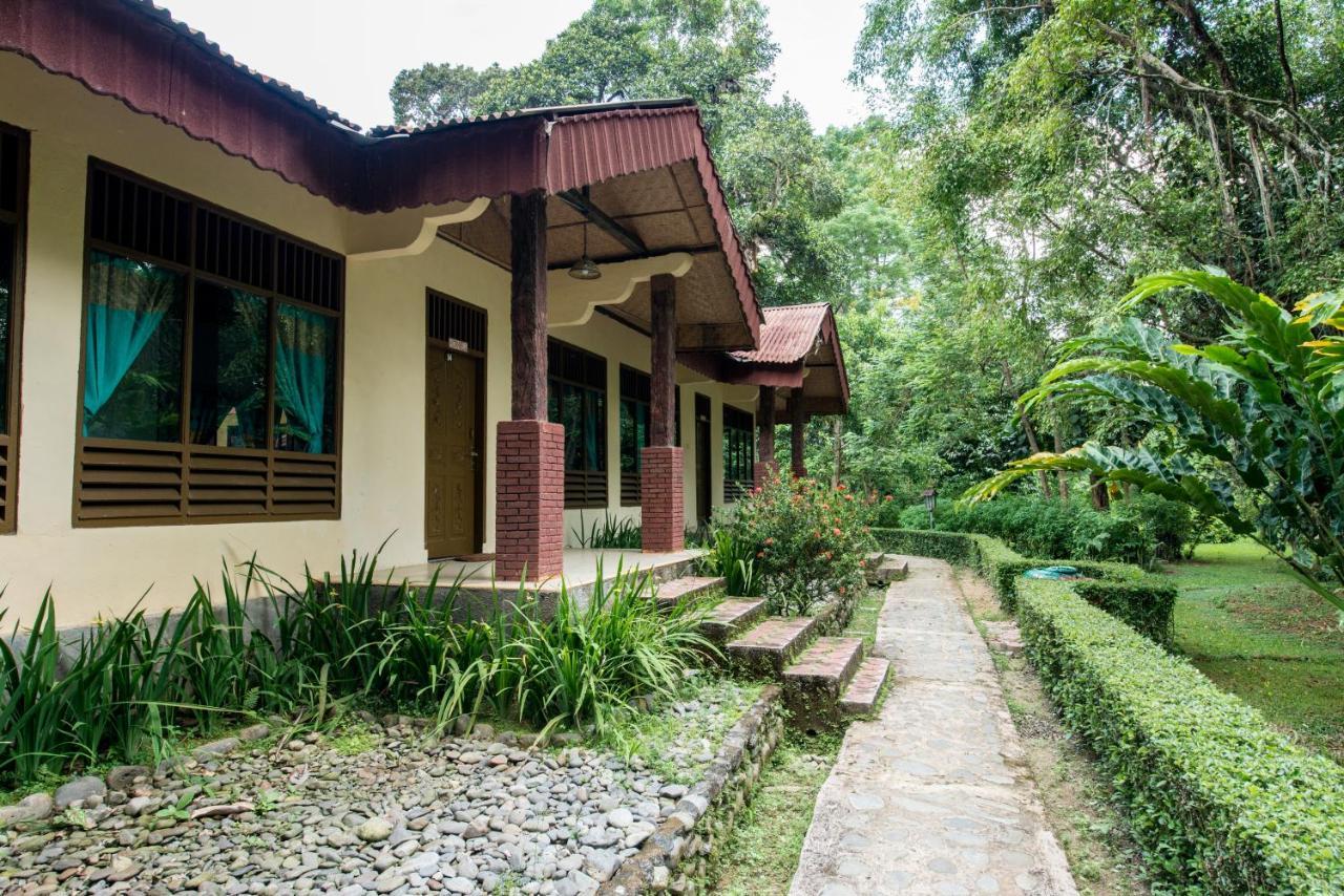 Ecolodge Bukit Lawang Eksteriør bilde