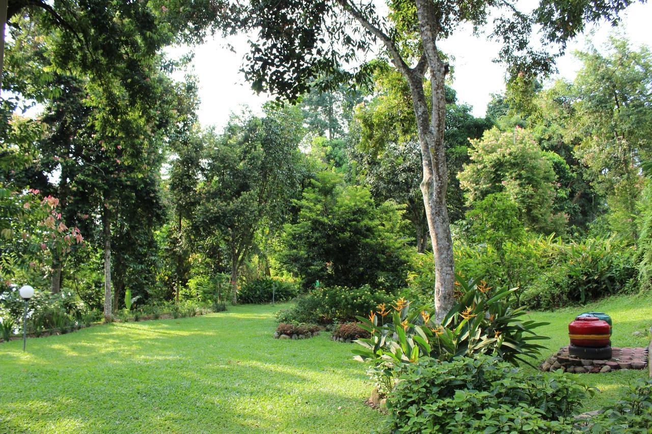 Ecolodge Bukit Lawang Eksteriør bilde