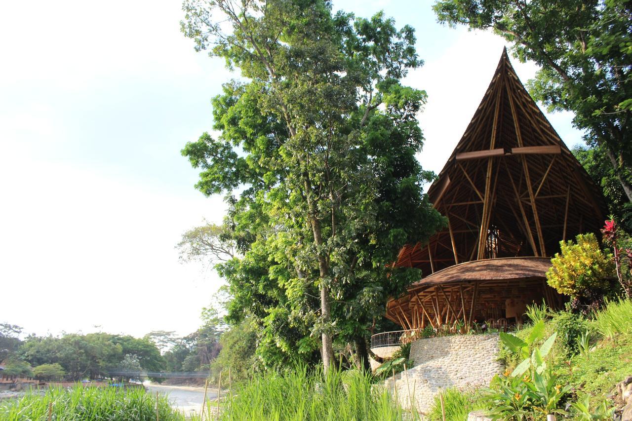 Ecolodge Bukit Lawang Eksteriør bilde