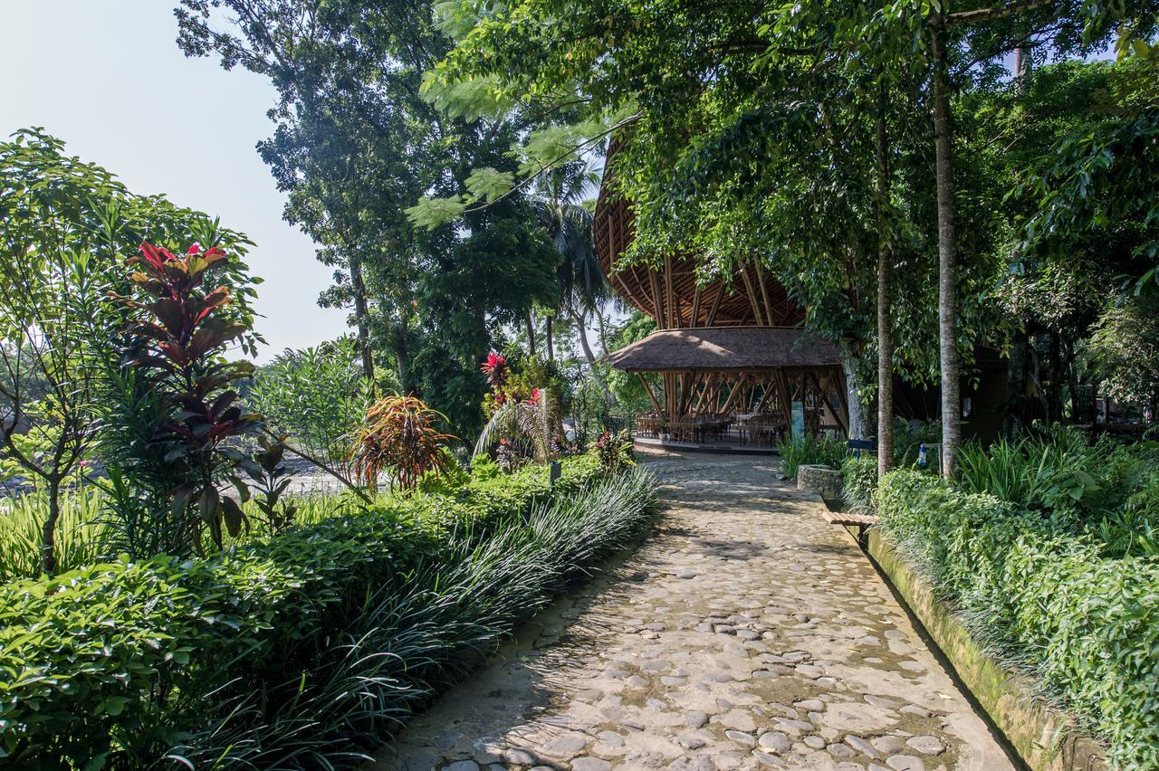 Ecolodge Bukit Lawang Eksteriør bilde