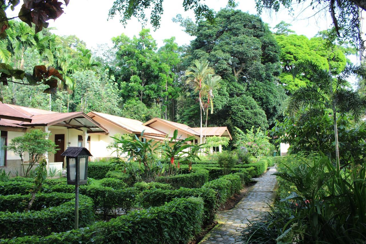 Ecolodge Bukit Lawang Eksteriør bilde