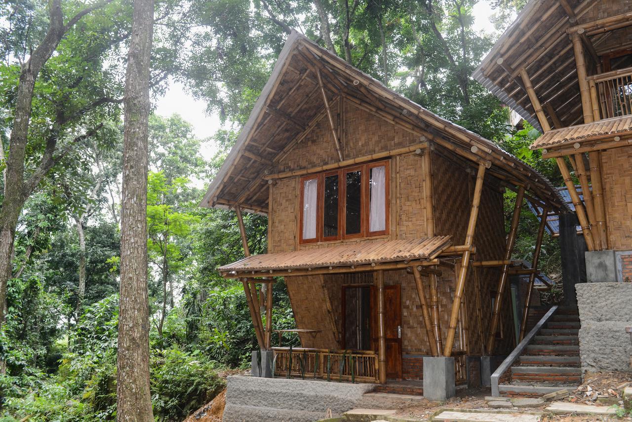 Ecolodge Bukit Lawang Eksteriør bilde