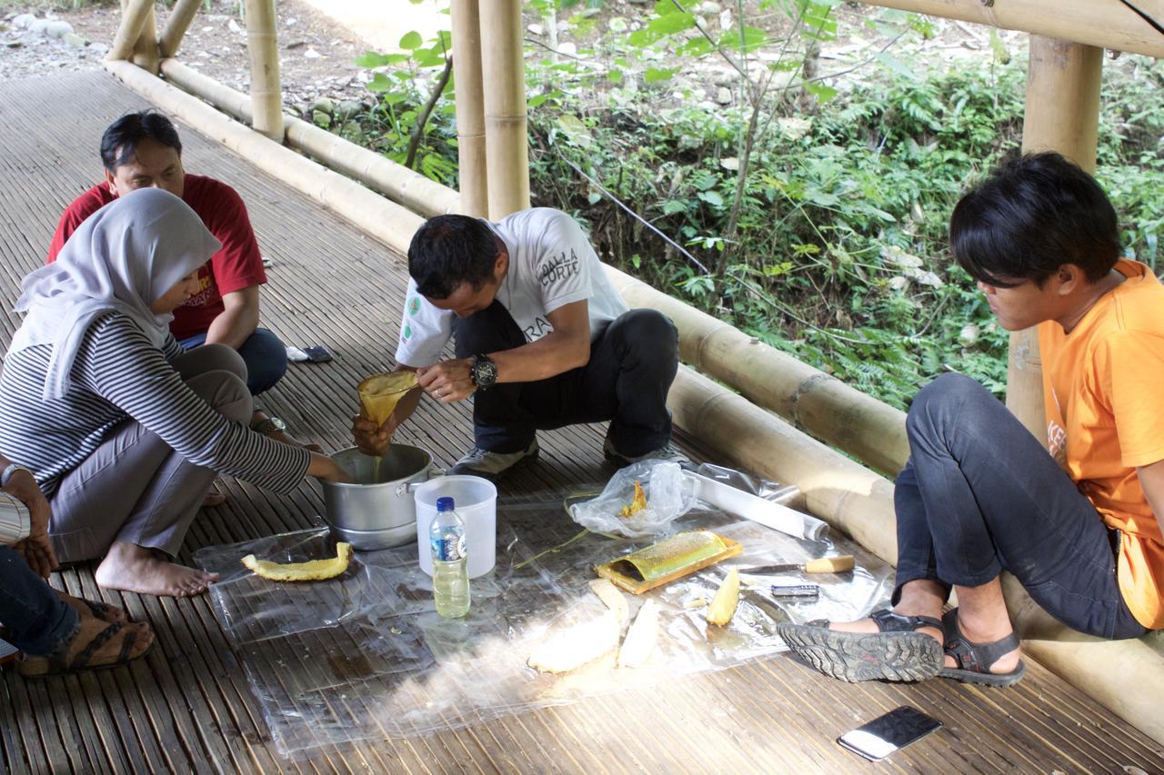 Ecolodge Bukit Lawang Eksteriør bilde